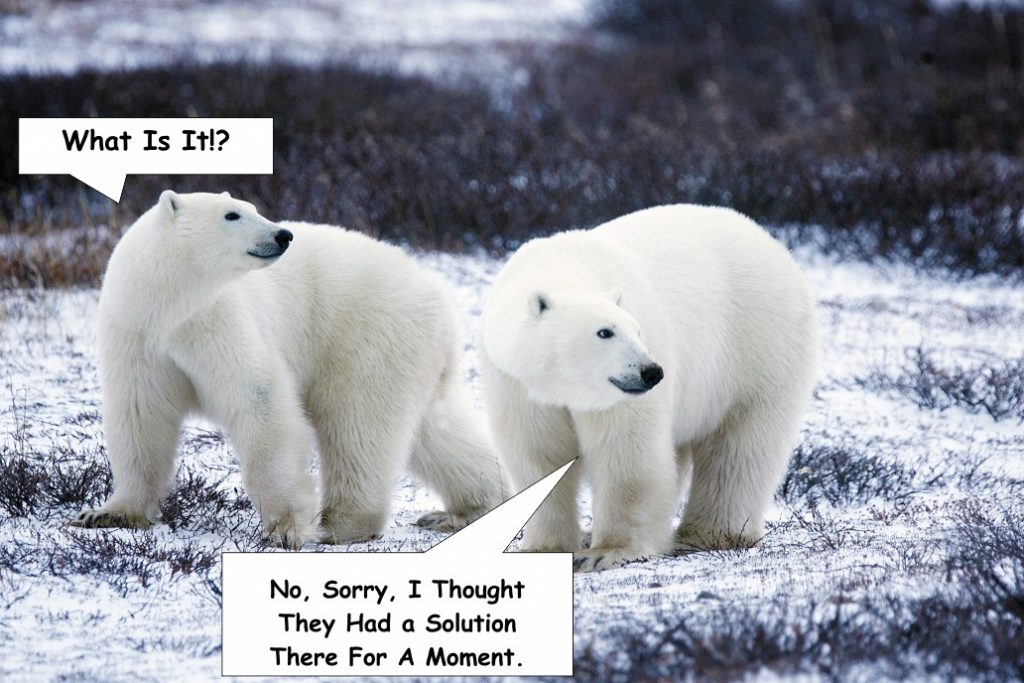 Climate Change - Polar Bears thought They Had A Solution For A Moment