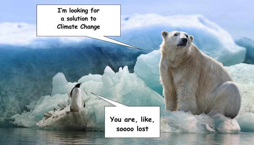 Climate Change - polar bear can't find solution on either pole.